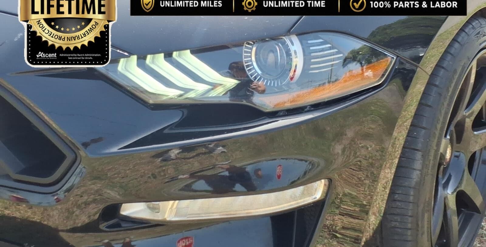 2021 Ford Mustang GT Premium thumbnail 9