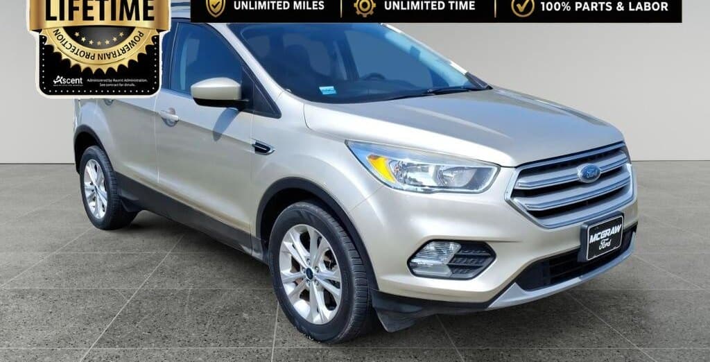 2018 Ford Escape SE thumbnail 8