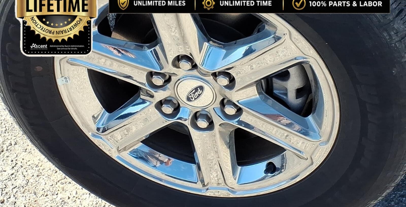 2025 Ford F-150 XLT thumbnail 10