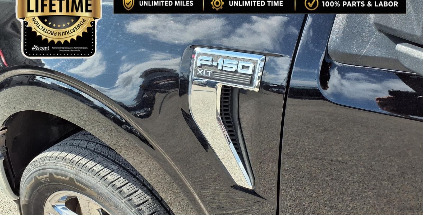 2025 Ford F-150 XLT thumbnail 10
