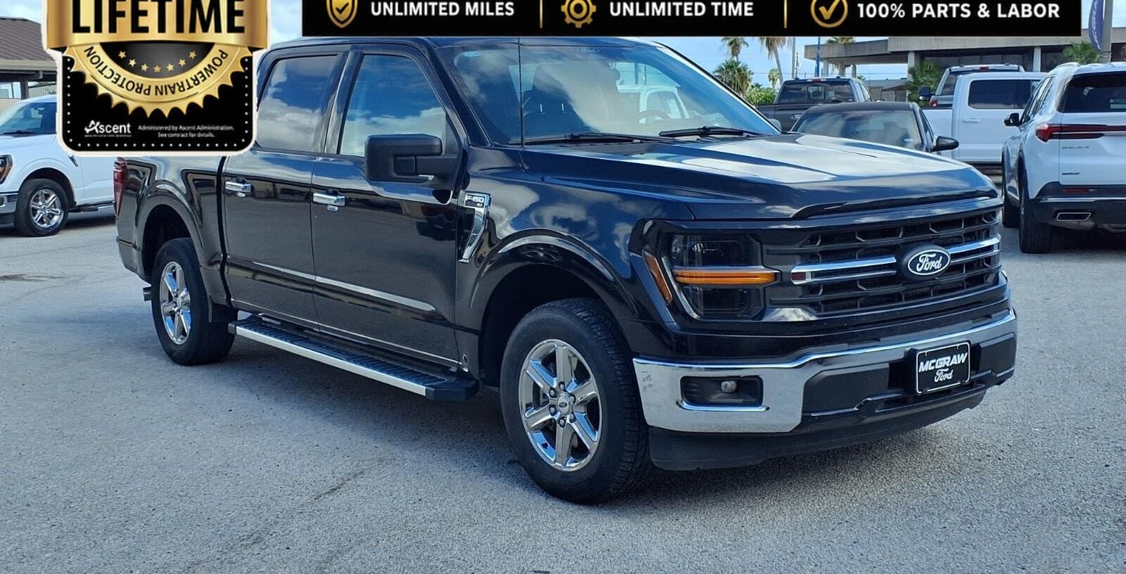 2025 Ford F-150 XLT thumbnail 6