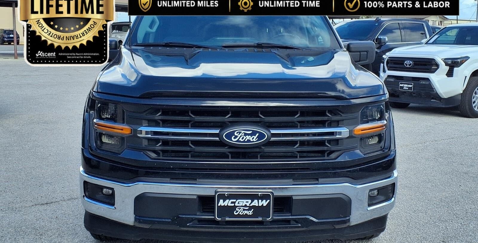 2025 Ford F-150 XLT thumbnail 7