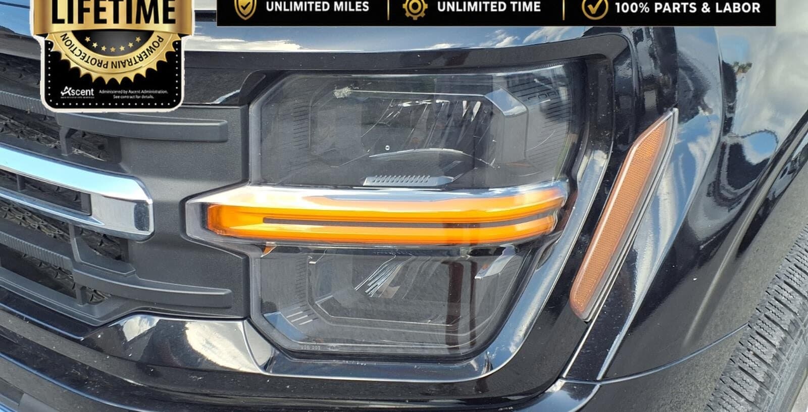 2025 Ford F-150 XLT thumbnail 8