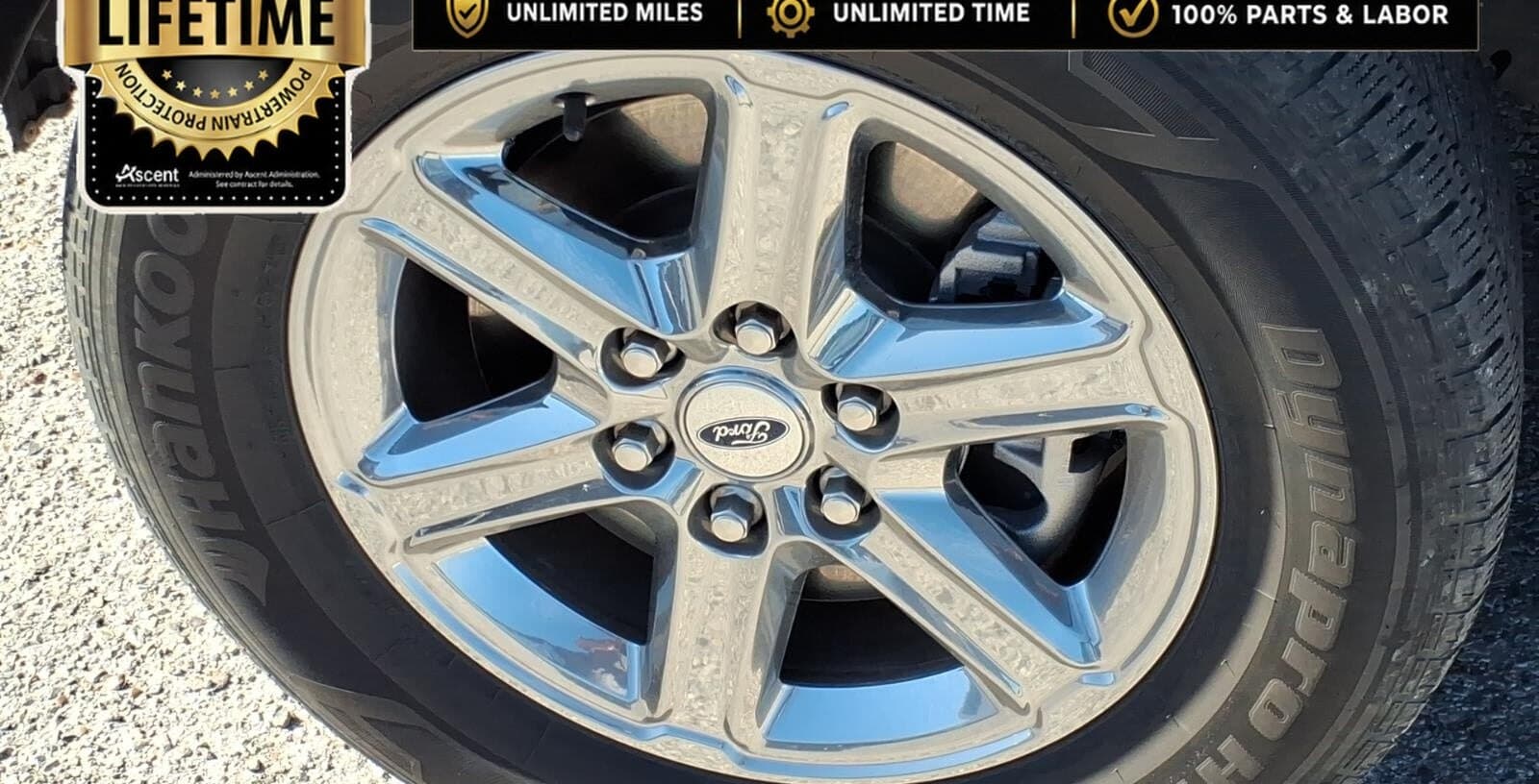 2025 Ford F-150 XLT thumbnail 10