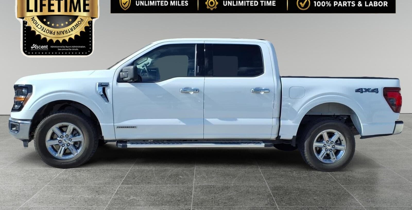 2024 Ford F-150 XLT thumbnail 8