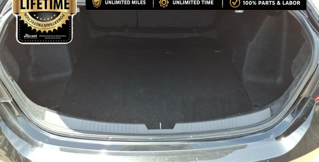 2023 Chevrolet Malibu LT thumbnail 6