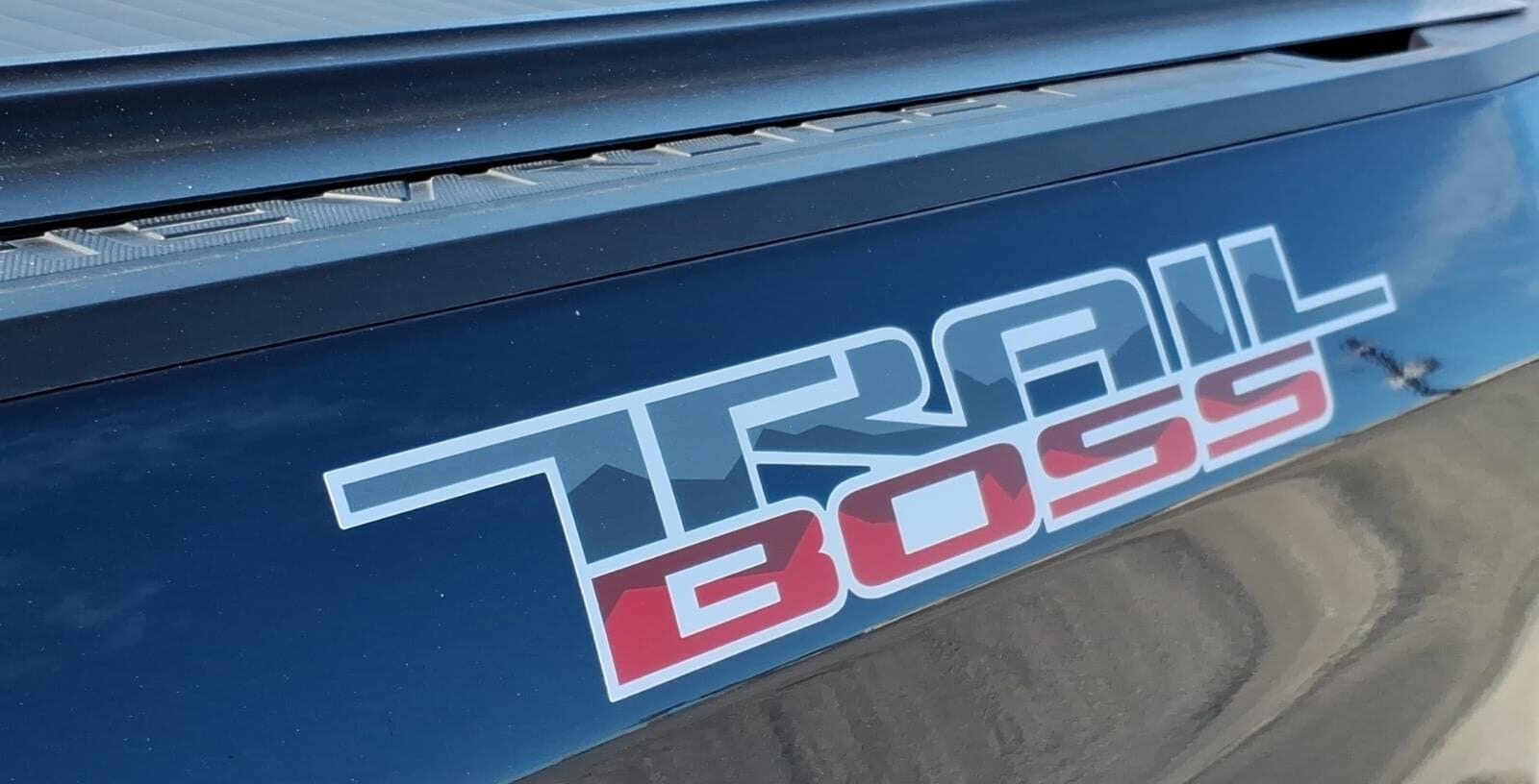2022 Chevrolet Silverado Custom Trail Boss thumbnail 10
