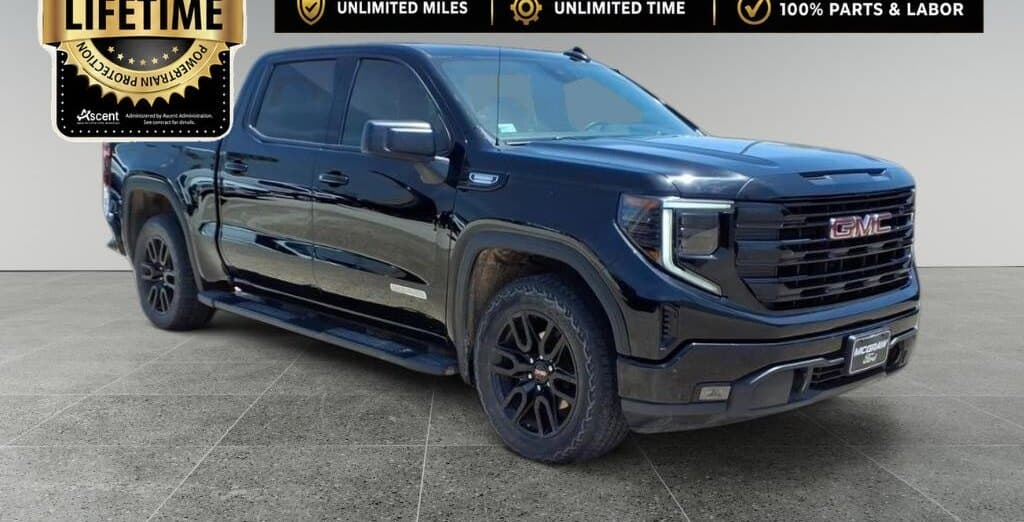 2023 GMC Sierra Elevation thumbnail 4