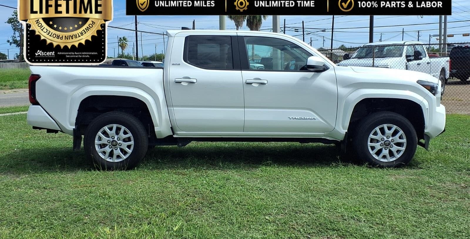 2024 Toyota Tacoma SR5 thumbnail 6